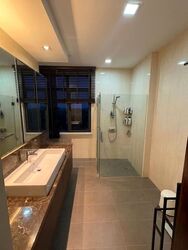 Four Seasons Park (D10), Condominium #565061781
